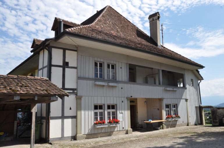 Hubelgut Herrenstock Rückseite