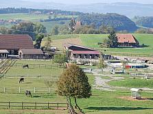 Pferdehof