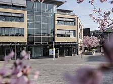 Gemeindeverwaltung im Frühling