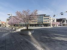 Gemeindeverwaltung im Frühling