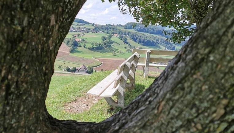 Sitz- und Ruhebänke