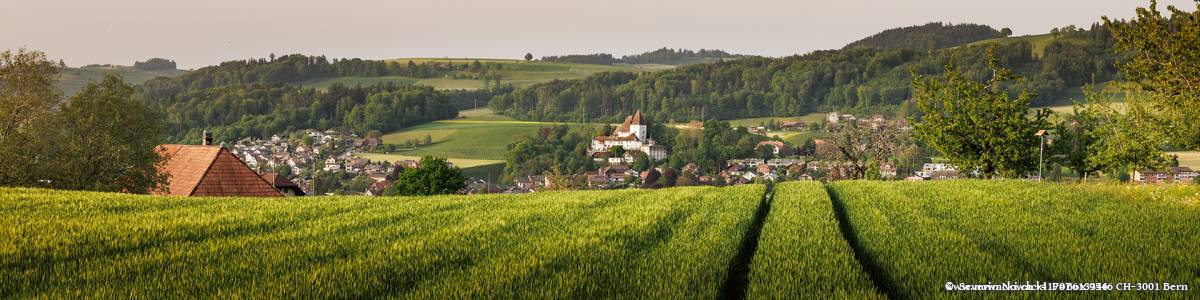 Blick über Kornfeld auf Dorf und Schloss Worb